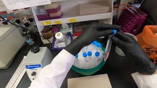 Cell Cycle Analysis by Flow Cytometry [upl. by Plank241]