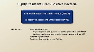 Antibiotics for Gram Positive Infections Antibiotics  Lecture 4 [upl. by Irik]