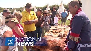 Festival in Nova Scotia Joins Together the Mikmaq and Acadians  APTN News [upl. by Llertnor]