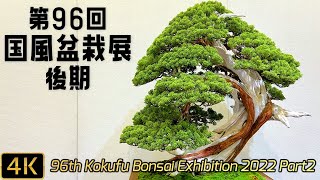 【盆栽】第96回 国風盆栽展 後期【Bonsai】The 96th Kokufu Bonsai Exhibition 2022 Part 2 [upl. by Rella]