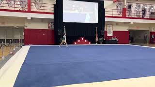 Glenbard West Girls Gymnastics IHSA Individual State Finals 2023  Samantha Hopper [upl. by Claudian]