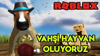 🦁 Vahşi Hayvan Oluyoruz 🦁  Playbox Safari  Roblox Türkçe [upl. by Nawj215]