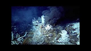 The Deepest Place On Earth Mariana Trench  Documentary [upl. by Akimit24]