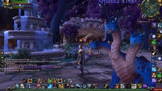 How to turn offon pet taunt and other abilities World of Warcraft [upl. by Brockie]