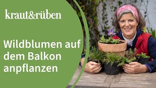 WildblumenBalkon🌼 Anpflanztipps für einen bienenfreundlichen Balkon [upl. by Zealand]