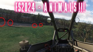 Finding ANIMALS in MSFS2024 [upl. by Adnolaj]