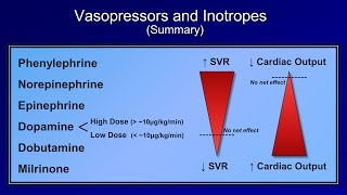 Shock Lesson 5  Pressors [upl. by Theo970]