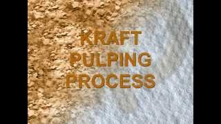 Pulp and Paper Process Flow Introduction [upl. by Rasure]