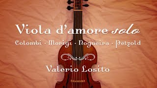 Viola damore solo [upl. by Akenihs]