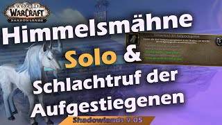 WoW Shadowlands  Aufgestiegene Himmelsmähne Mount Guide Solo Schlachtruf der Aufgestiegenen Erfolg [upl. by Lipps]