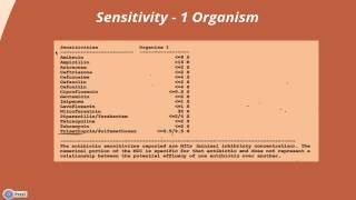 Interpreting a Urine Culture amp Sensitivity [upl. by Ferren]