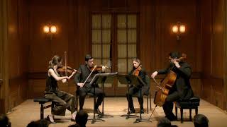 Vera Quartet HAYDN — Quartet in G major Op 76 No 1 [upl. by Orren23]