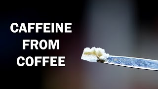 Extracting caffeine from coffee [upl. by Adirf]