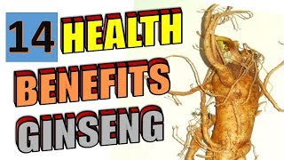 14 Amazing Health Benefits of Ginseng To Blow your Mind [upl. by Ahker]