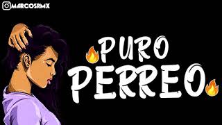 PURO PERREO 9🔥 BRASILERO 2019 MARCOS RMX [upl. by Dominus]