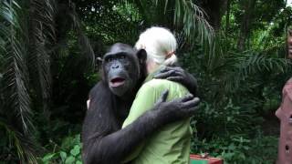 Jane Goodall Releases Chimp [upl. by Eslek]