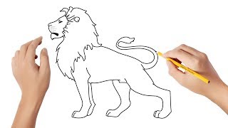 Comment dessiner un lion [upl. by Casi]