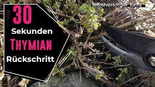 DIY Thymian richtig schneiden  Kräuter pflegen [upl. by Elleuqram145]