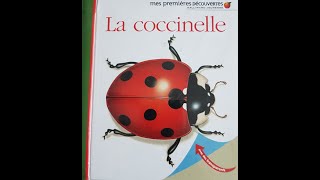 La coccinelle  album documentaire [upl. by Anak]