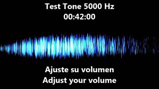 5000 hz Test Tone  frequency 5 khz [upl. by Wanda981]