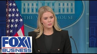 White House press secretary Karoline Leavitt holds briefing [upl. by Eldnik]