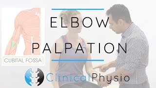 Elbow Palpation  Clinical Physio Premium [upl. by Zetrok400]