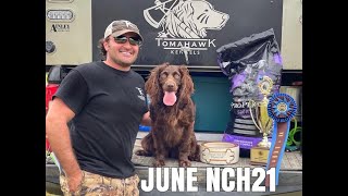 2021 Boykin Spaniel Societys National Retriever Field Trial Novice Champion  June Holland NCH21 [upl. by Benyamin]