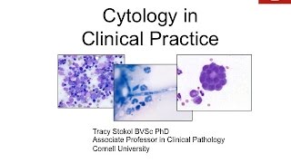 Cytology in Clinical Practice  conference recording [upl. by Susejedesoj]