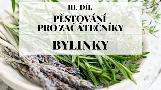 Pěstování bylinek  Pěstování pro začátečníky 3 díl [upl. by Ami]