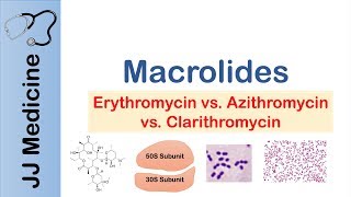 Macrolides Azithromycin Erythromycin  Bacterial Targets Mechanism of Action Adverse Effects [upl. by Bander]