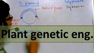 Genetic engineering in plants [upl. by Adorl]