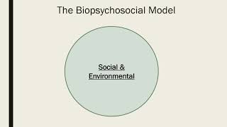 The Biopsychosocial Model [upl. by Enrico]