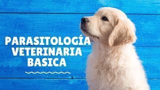 Parasitología veterinaria básica [upl. by Ttocserp]