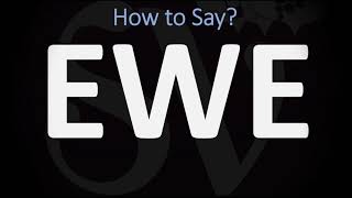 How to Pronounce Ewe CORRECTLY [upl. by Aivat504]