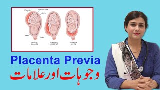 Placenta Functions  Obstetrics  Part 1  Hindi  Dutta [upl. by Bernstein988]