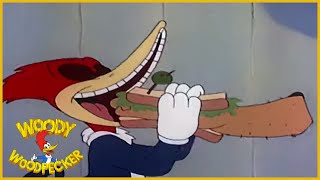 Woody Woodpecker  Dippy Diplomat  Full Episodes [upl. by Aphra]