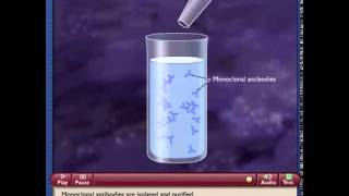 Monoclonal Antibody Production [upl. by Bobbie]