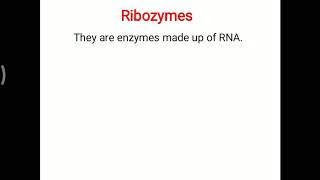 Ribozymes [upl. by Rachael]