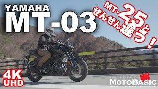 MT03 ABS ヤマハ バイク試乗レビュー YAMAHA MT03 ABS TEST RIDE [upl. by Pedrotti]