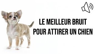 Le meilleur bruit pour attirer un chien [upl. by Iain]