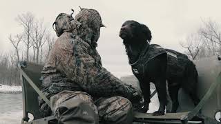 Understanding the Boykin Spaniel A Valley Way Film [upl. by Agiaf]