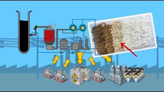 Fibria’s pulp production process  Short version [upl. by Nyltak]