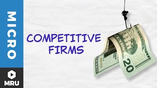 Introduction to the Competitive Firm [upl. by Triplett]