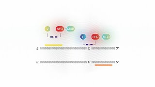 How it Works TaqMan SARSCoV2 Mutation Panel [upl. by Urson]