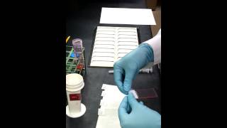 How to make a Cytology Smear [upl. by Zerline]