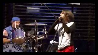 Red Hot Chili peppers Live at Slane Castle Full Concert [upl. by Eahsed]