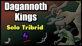 Dagannoth Kings Boss Guide  Solo Tribrid [upl. by Nahem541]