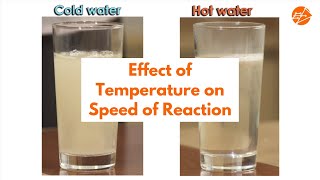 Effect of Temperature on Speed of Reaction [upl. by Leizahaj614]