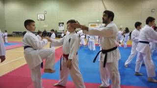 Rafael Aghayev UK Seminar  4th February 2017  Juniors [upl. by Eigram]