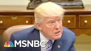 Language Expert Donald Trumps Way Of Speaking Is Oddly Adolescent  The 11th Hour  MSNBC [upl. by Megdal]